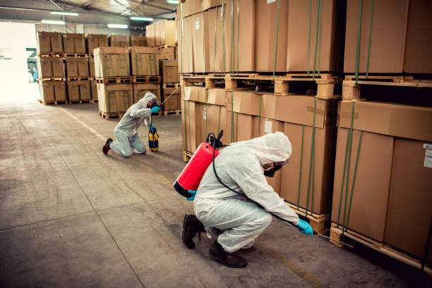 Best Best Pest Control Companies  in Albany, LA