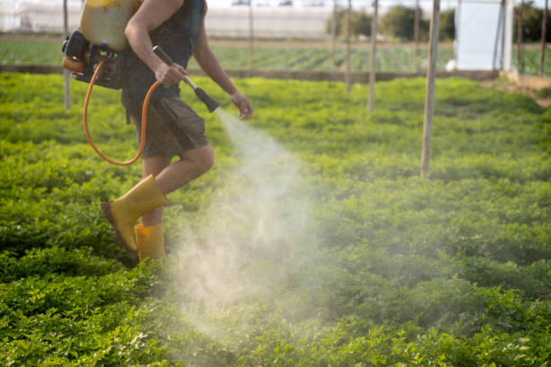 Best Pest Control Near Me  in Albany, LA