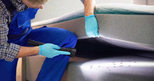 Pest Prevention Services in Albany, LA