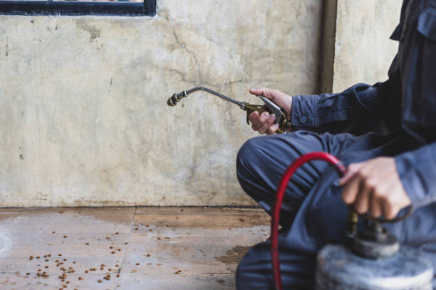Best Residential Pest Control  in Albany, LA